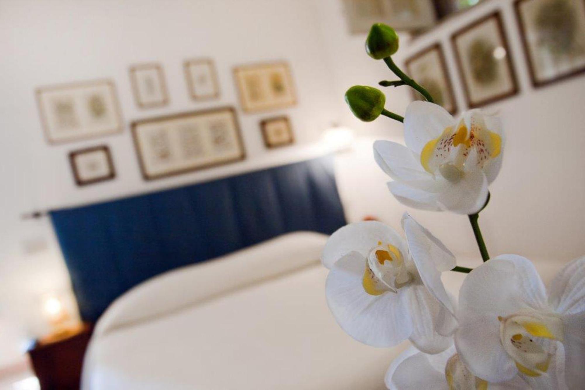 Il Glicine Sul Golfo Bed & Breakfast Mondello Oda fotoğraf